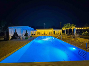 Luxury Home & Pool